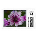 In the Garden Postage postage by glo53bug In the Garden Postage postage