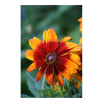 In The Garden posters