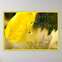 In the Garden Poster
