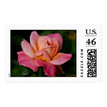 In the Garden PR_034 Postage
