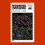 In The Garden stamps