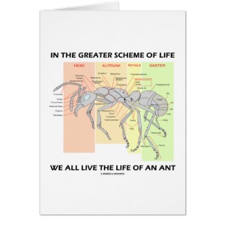 In The Greater Scheme Of Life Live Life Of An Ant card