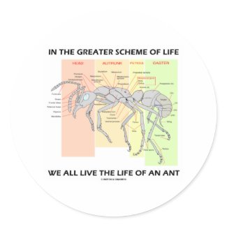 In The Greater Scheme Of Life Live Life Of An Ant sticker