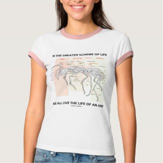 In The Greater Scheme Of Life Live Life Of An Ant shirt