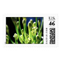In the Green House postage
