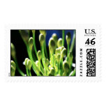 In the Green House Stamps