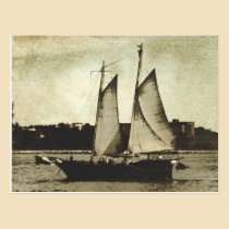 In The Harbour Postcard postcards
