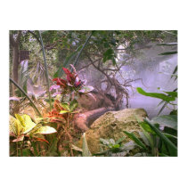 In the Jungle posters