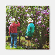 In the Lilac Garden Magnets