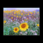 In the morning postcards