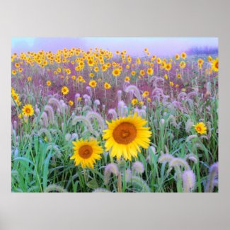 In the morning , print print