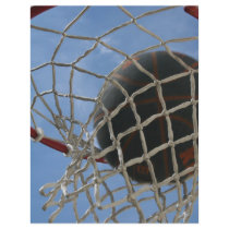 In the Net Flyer