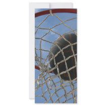 In the Net Full Color Rack Card