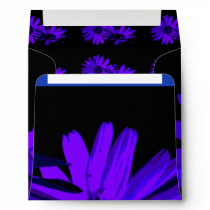 in the night 2 envelopes