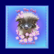In The Pink Magnet