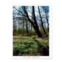 In The Shade posters