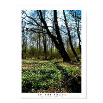 In The Shade posters by vercettiprints In The Shade posters