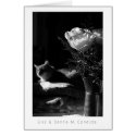 In The Shadows I cards