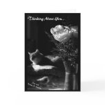 In The Shadows II, Thinking About You... Greeting Cards