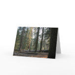 In the Sierra Neveda Card
