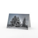 In The Spirit OF winter cards by Digitalwonder In The Spirit OF winter cards