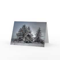 In The Spirit OF winter cards