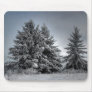 In The Spirit OF winter