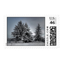 In The Spirit OF winter Postage Stamp