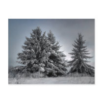 In The Spirit OF winter postcards