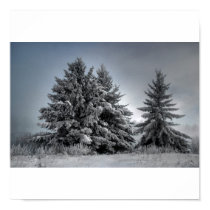 In The Spirit OF winter posters