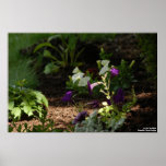In the Spotlight posters