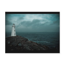 In The Storm Post Cards