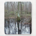 In the water mousepads