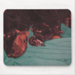 In the Whelping Box mousepad