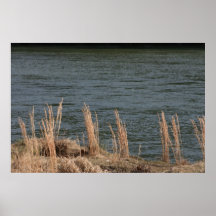In the Wind Poster