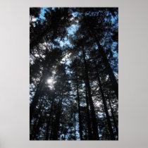 In the Wood Posters