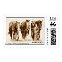 In Training_sepia mug, Craig Cameron Horsemanship postage
