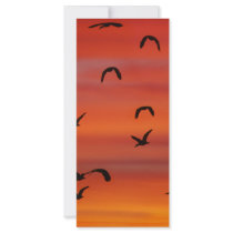 In Transit rack cards by laureenr In Transit rack cards