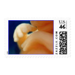 In-Utero Endoscopy Stamps