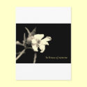 In you time of sorrow - condolences postcards