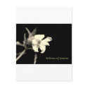 In you time of sorrow - condolences postcards by Rainmountain In you time of sorrow - condolences postcards