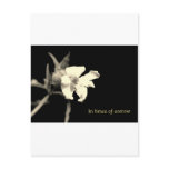 In you time of sorrow - condolences postcards