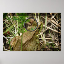 In Your Eye! Poster