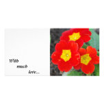 In your face red photo card