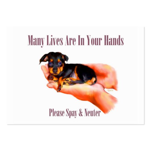 In Your Hands (Please Spay & Neuter) Business Card (front side)