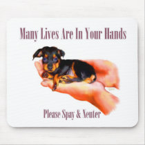 In Your Hands (Please Spay & Neuter) Mousepad