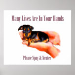 In Your Hands (Please Spay & Neuter) Print