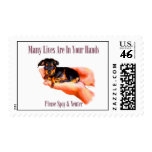 In Your Hands (Please Spay & Neuter) Stamps
