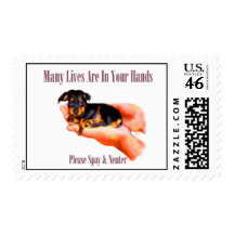 In Your Hands (Please Spay & Neuter) Stamps
