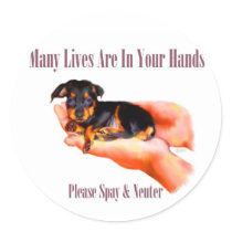 In Your Hands (Please Spay & Neuter) Stickers